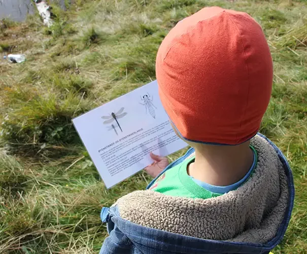 Vi lærer om spennende ting i naturen.