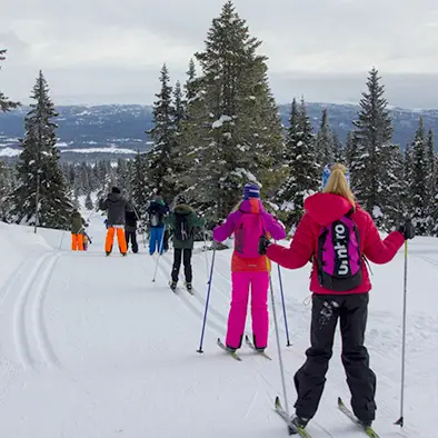 Vinter - Ut på skitur med FRIGO